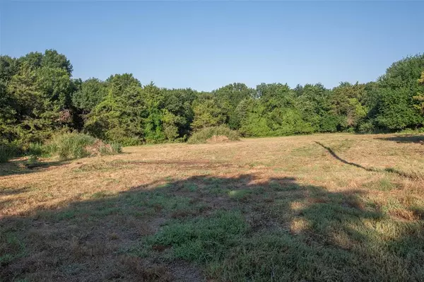 Fairview, TX 75069,TBD Lot 5 Orr Road