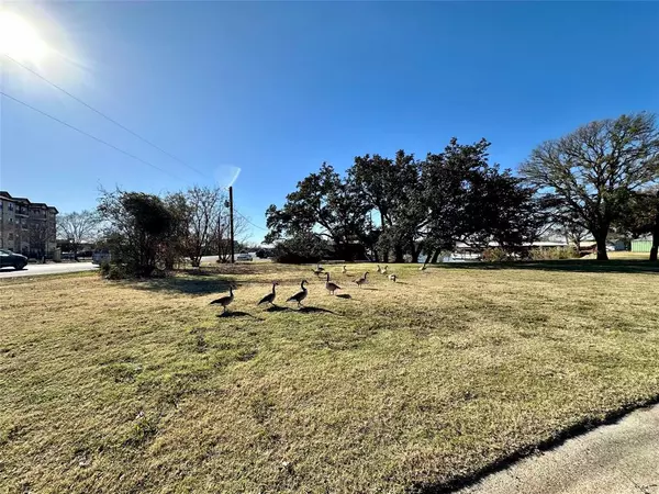 Granbury, TX 76048,810 E Pearl Street