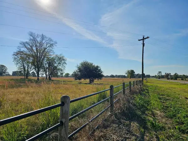 Mount Pleasant, TX 75455,LOT 4 FM1402