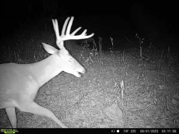 Whitesboro, TX 76273,432 Acres Slickum Slough Road