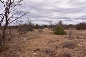 Santa Anna, TX 76878,1050 County Road 258