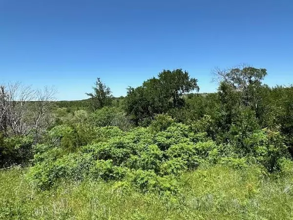 Graford, TX 76449,Lot 623 Caprock Court