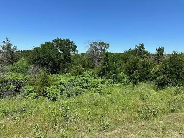 Graford, TX 76449,Lot 623 Caprock Court