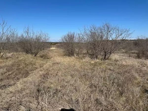 1050 Spotted Owl Court, Graford, TX 76449