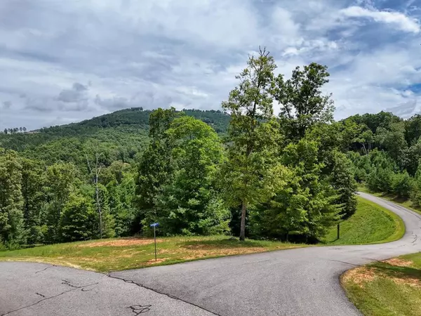 Lot 118 Riverside On Lake Nottely, Blairsville, GA 30512