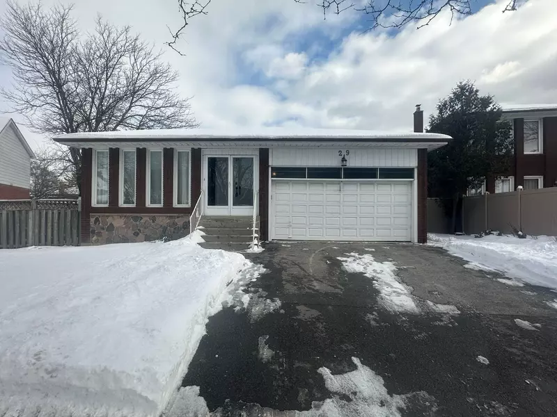 BASEMENT - 29 Redbud CRES, Toronto E07, ON M1S 3X6