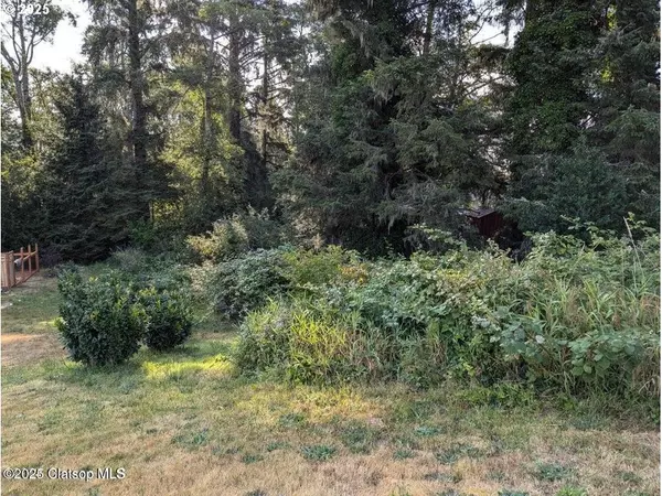 Warrenton, OR 97146,Vacant Land SW Cedar AVE