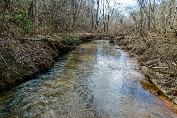 Mineral Bluff, GA 30559,Cutcane Cutcane Road