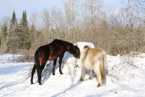 494 Twin Sister Lakes RD, Marmora And Lake, ON K0K 2M0