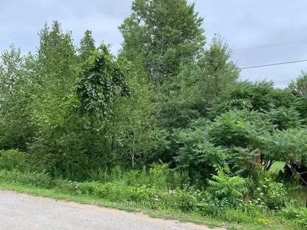 Lot 18 Northside RD, Kawartha Lakes, ON K9V 4R5