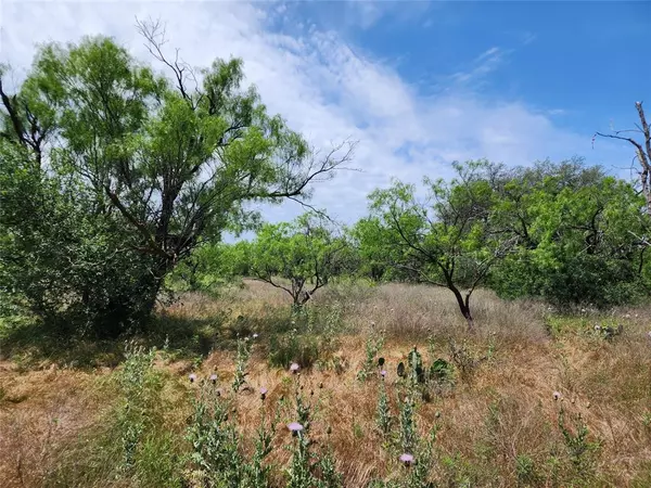 Cisco, TX 76437,TBD County Road 125