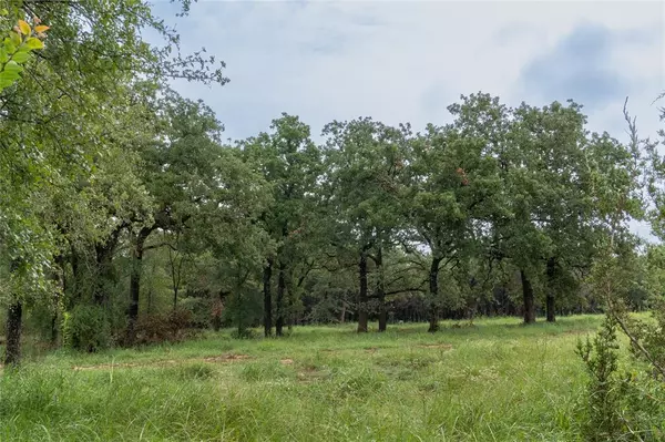 T4 Coleman Ranch Road, Tolar, TX 76476