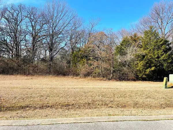 Gordonville, TX 76245,Lot 36A Dublin Circle