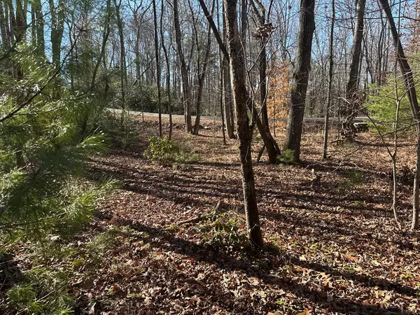 Morganton, GA 30560,Lot 40 Harbin Woods