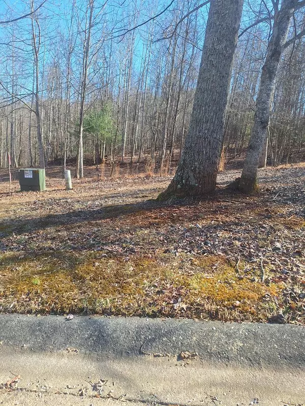 Lot Summit Trace, Blairsville, GA 30512