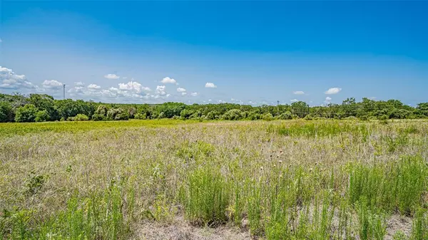 Azle, TX 76020,TBD # 5 Briar Road