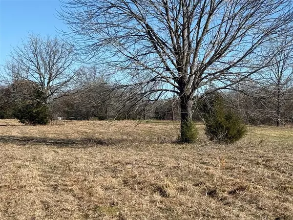 Scurry, TX 75158,Lot 3 N 2nd Street