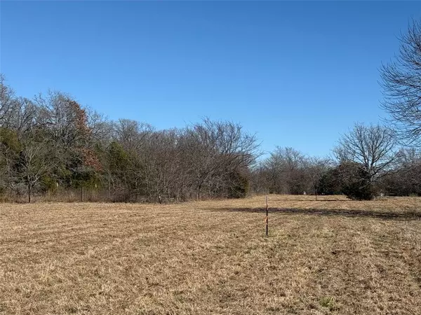 Scurry, TX 75158,Lot 4 N 2nd Street