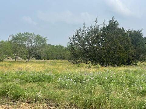 # 175 Cross Timber Ranch Drive, Lampasas, TX 76550