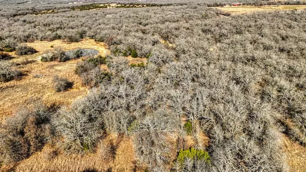 Perrin, TX 76486,1150 DPS Tower Road #Lot 50