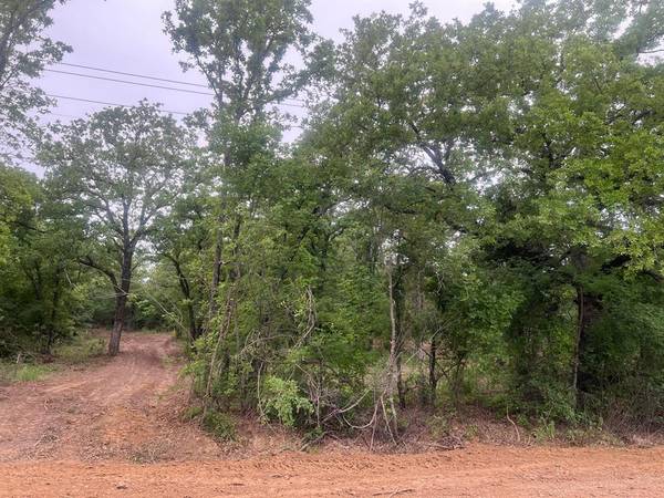 tbd 000 HAMILTON, Mineral Wells, TX 76067