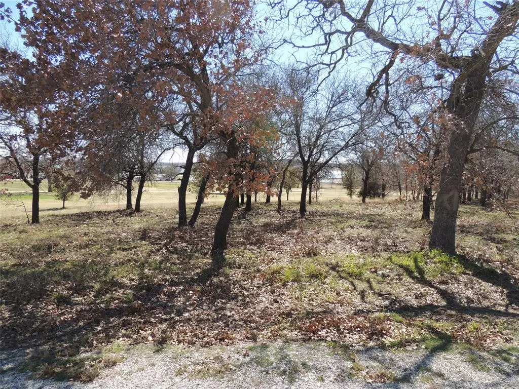 Eastland, TX 76448,173 Oakwood Trail