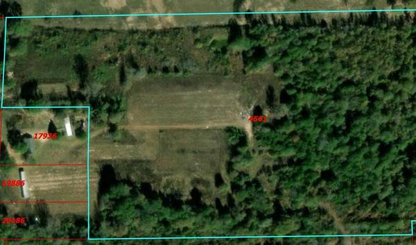 TBD County Road 3418, Leesburg, TX 75451