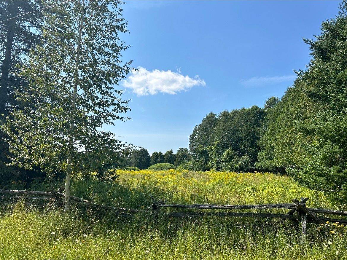 Drummond/north Elmsley, ON K7H 3C8,00 Paul's RD