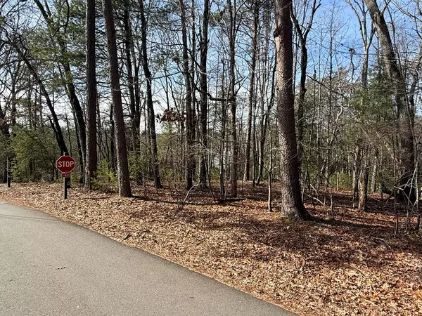 Ellijay, GA 30540,Lot 47 Seneca Drive