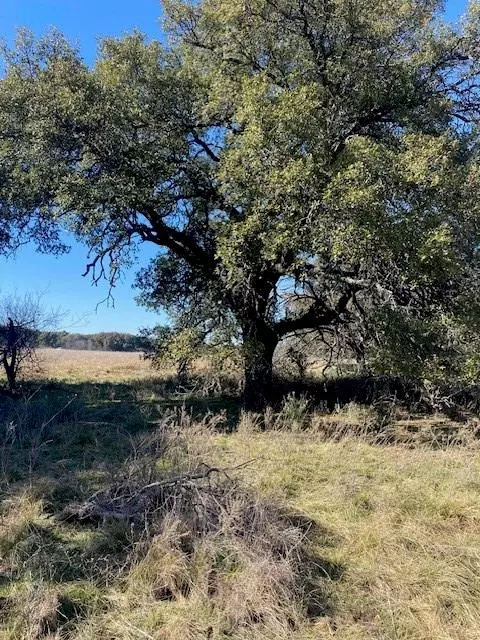 Cross Plains, TX 76443,TBD CR-188