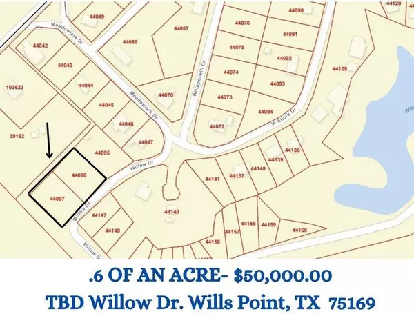 TBD Willow Drive, Wills Point, TX 75169