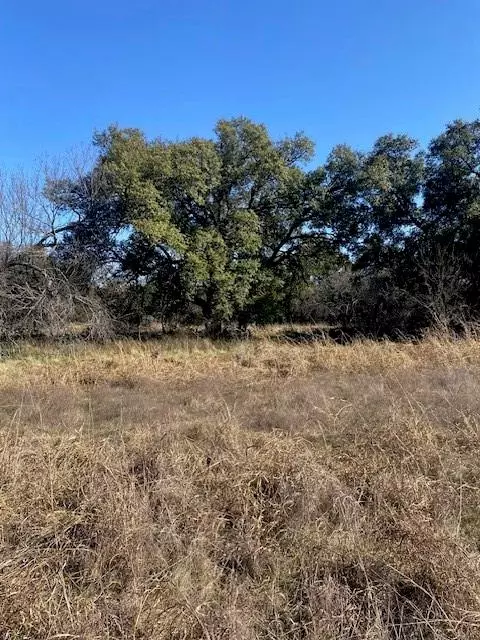 Cross Plains, TX 76443,TBD CR-188