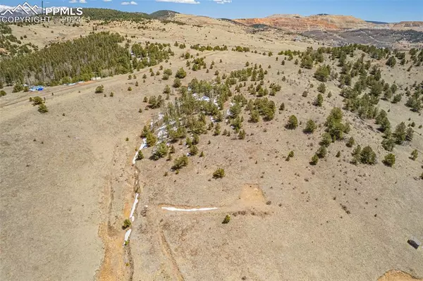 1538 County Road 1, Cripple Creek, CO 80813