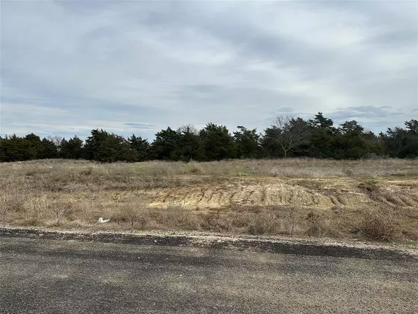 Celeste, TX 75423,Lot 17 Maple Road