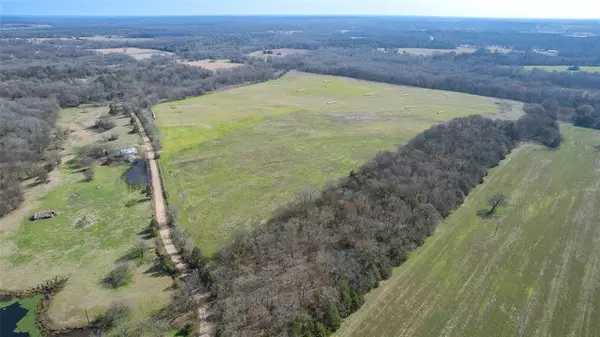 80ac Lot2 County Road 2376 #2, Winnsboro, TX 75494