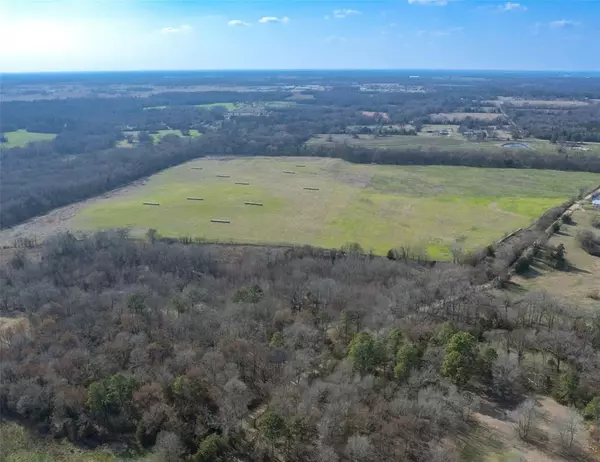 Winnsboro, TX 75494,80ac Lot2 County Road 2376 #2