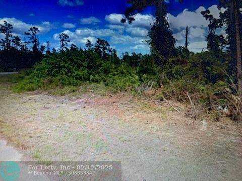 Lehigh Acres, FL 33974,729 Ontario Ave