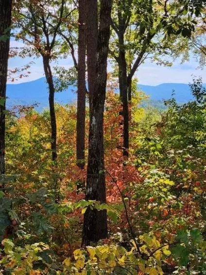 Lot 16 Abbott Mill Road, Ellijay, GA 30540