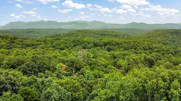 Ellijay, GA 30540,Lot 16 Abbott Mill Road