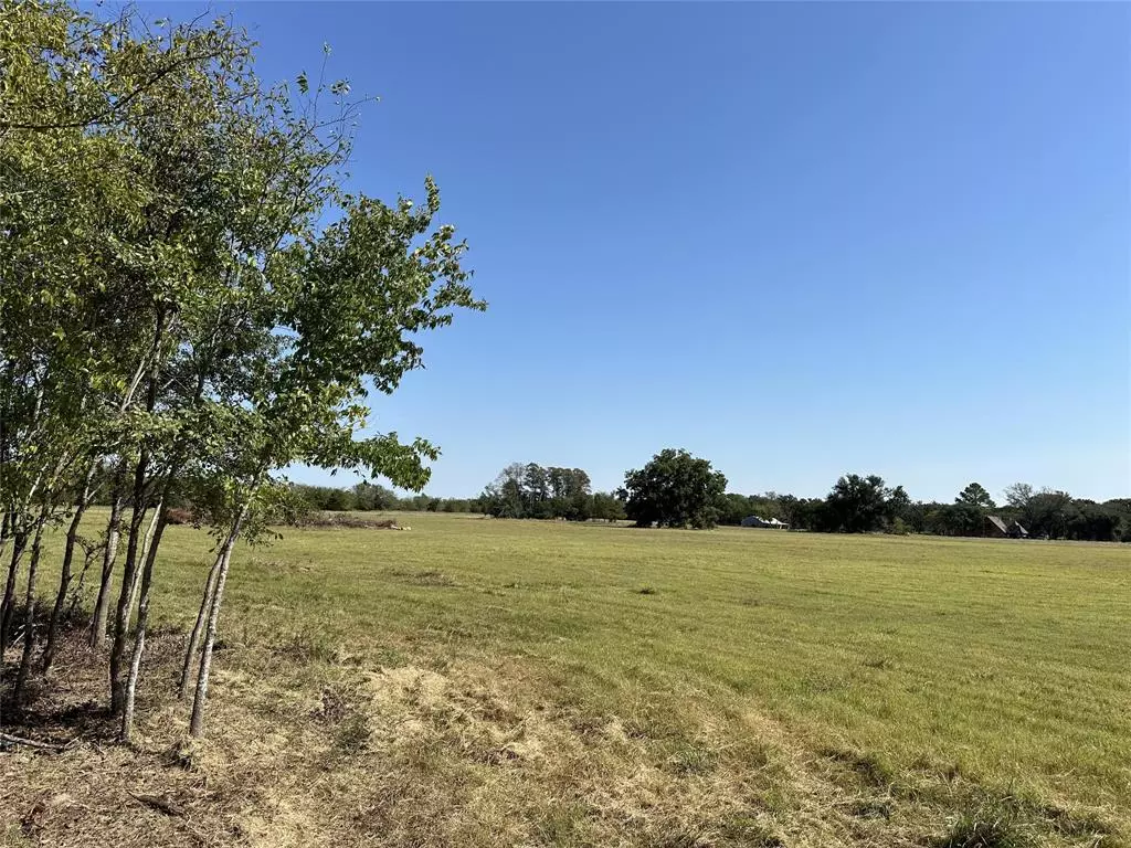 Kaufman, TX 75142,TBD Lot 6 County Road 111