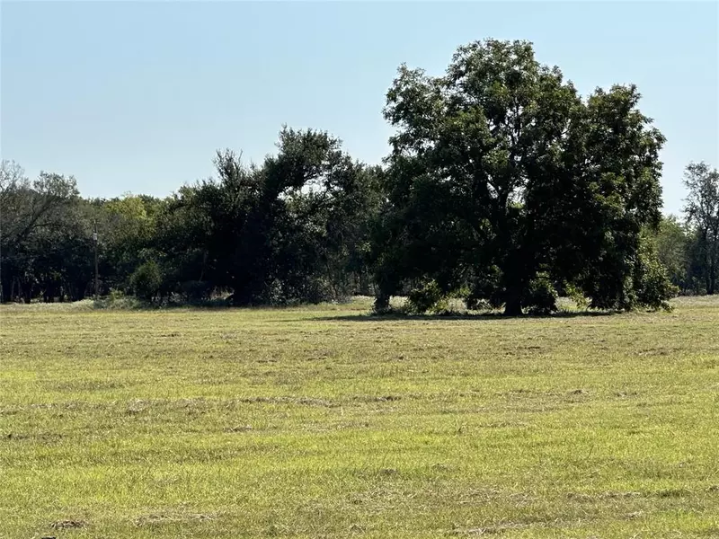 TBD Lot 8 County Road 115, Kaufman, TX 75142