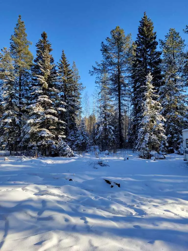 Rural Clearwater County, AB T0M 0M0,3 South Raven CRES