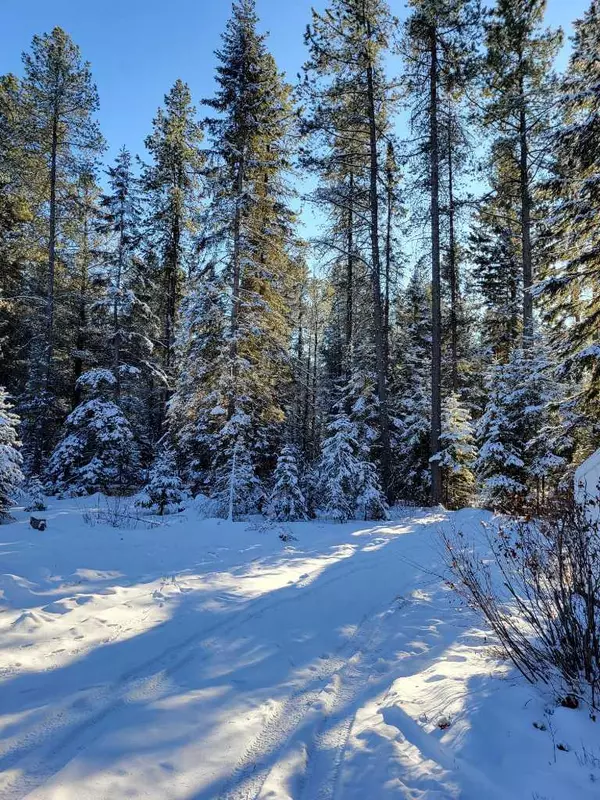 Rural Clearwater County, AB T0M 0M0,3 South Raven CRES