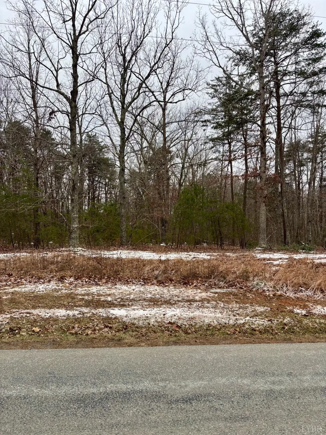 Gladys, VA 24554,0 Mitchell Mill RD