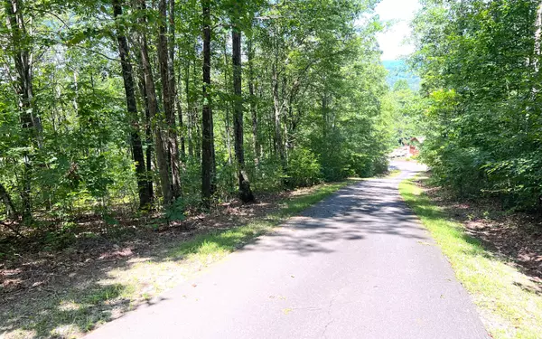 Hayesville, NC 28904,L 17A Trillium Heights