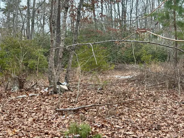 Gladys, VA 24554,0 Mitchell Mill RD