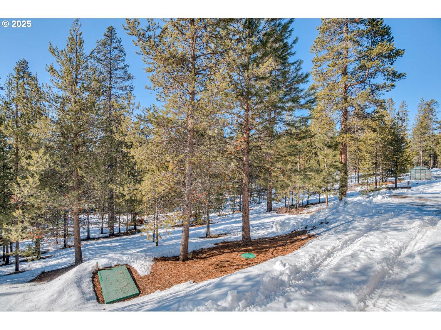 Bend, OR 97707,15174 YELLOW PINE LOOP SE