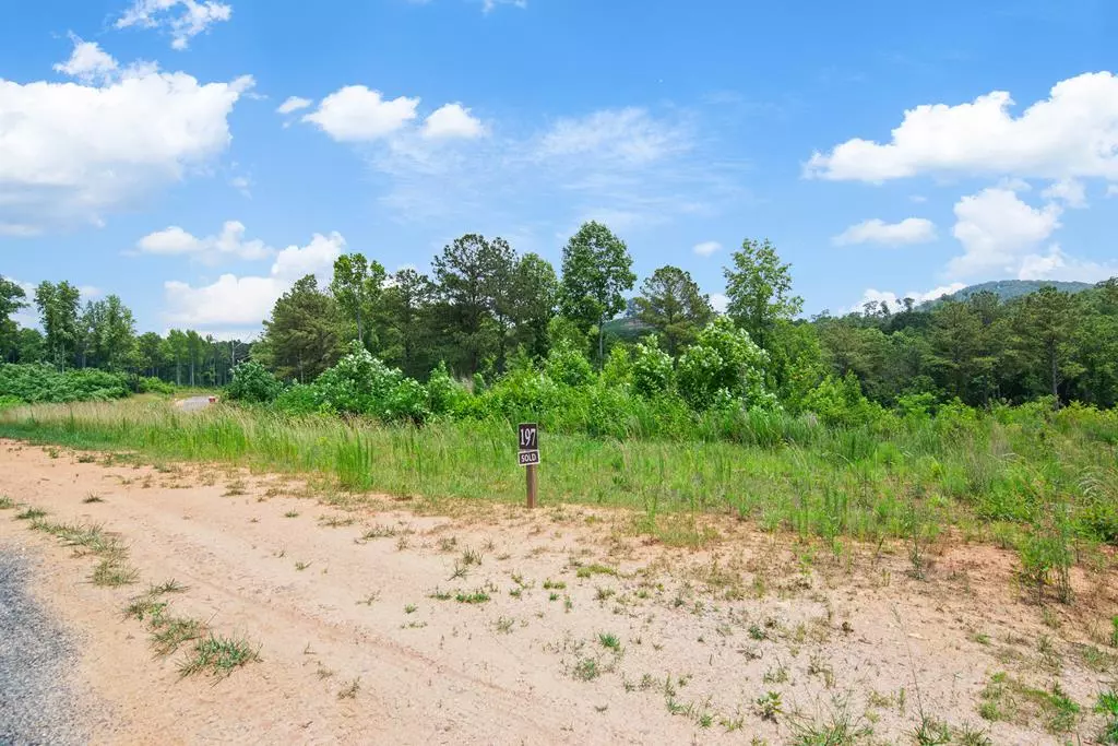 Talking Rock, GA 30175,Lot 197 Oak Park Drive