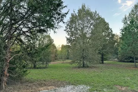 Winnsboro, TX 75494,25.96 AC CR 4885