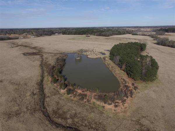 TBD Fm-144, Daingerfield, TX 75686